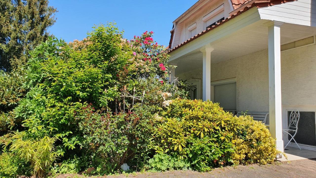 Ferienhaus "Villa Am Eck" Eichenzell Ngoại thất bức ảnh